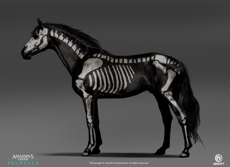 Horse Halloween Ideas, Zombie Horse, Horse Draw, Skeleton Horse, Draw Cute Animals, Cute Animals Drawings, Horse Halloween Costumes, Halloween Horse, Horse Halloween