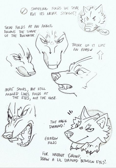 Werewolf Drawing, Teeth Drawing, Canine Drawing, Art Advice, Werewolf Art, Wolf Drawing, Canine Art, Creature Drawings, Animal Sketches