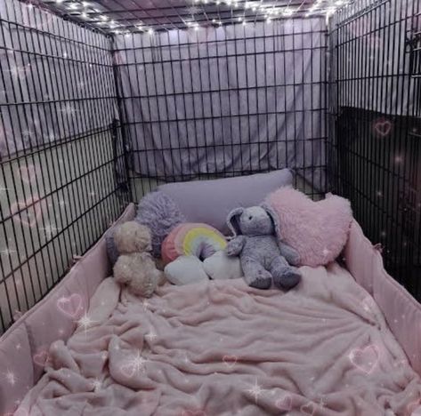 Puppy Room, Puppy Time, Pet Spaces, Puppy Play, Little Puppies, Cute Little Things, Safe Space, الرسومات اللطيفة, Little Princess