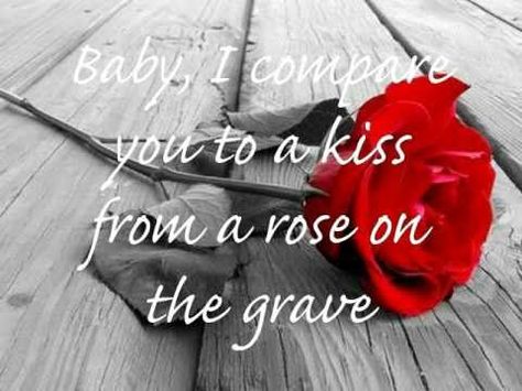 "Kiss From a Rose" by Seal, Lyric picture - Baby, I compare you to a kiss from a rose on the grave. Birthday Poems, Digital Greeting Cards, Romantic Messages, Best Love Songs, Sing To Me, Music Theater, All I Ever Wanted, Color Effect, Kinds Of Music