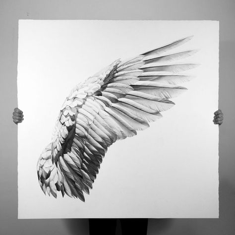 Guardian Angel drawing. Alas Tattoo, Wing Tattoo Designs, Wings Drawing, Dark Wings, Pen Drawings, Wing Tattoo, Angel Drawing, Wings Art, Bird Wings