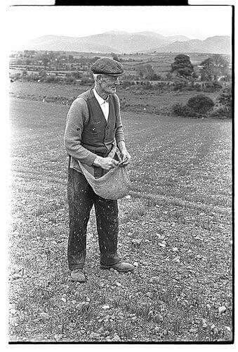 Daily Bread Devotional, Celtic Signs, Old Farmer, Sowing Seeds, Irish Culture, Boston College, Old Photography, Our Daily Bread, Irish Heritage