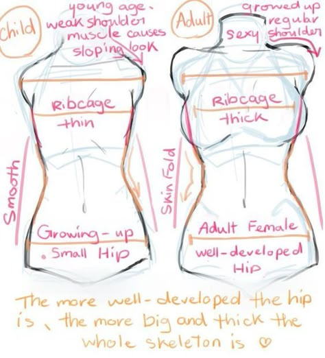 Body Base Drawing Torso, Hips Reference Drawing, How To Draw Breast Anatomy, Torso Reference Female, Female Body Poses Drawing Reference, Torso Reference Drawing, Female Body Drawing Base, Hips Drawing Reference, Breast Draw Reference