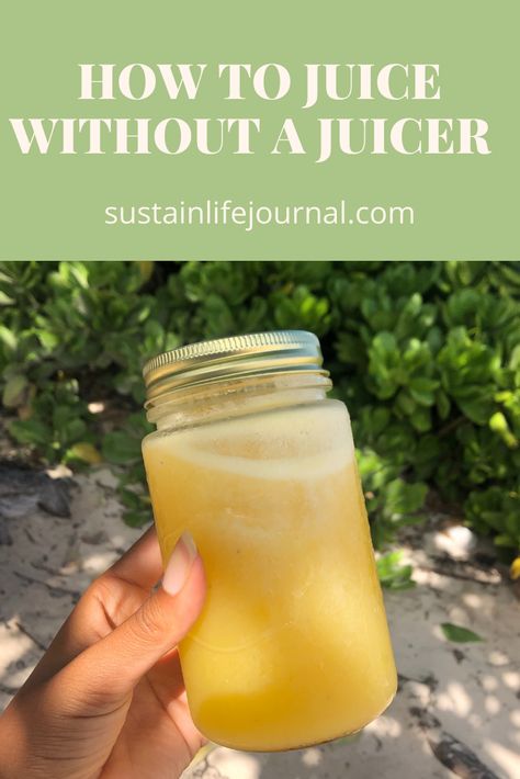 No Juicer Juice, Juice Cleanse Without A Juicer, Juicing Without A Juicer, How To Make Juice Without A Juicer, Home Made Juice Recipes, Juicer Recipes Beginners Juice Cleanse, At Home Juice Cleanse, How To Juice Without A Juicer, Booster Juice Recipes