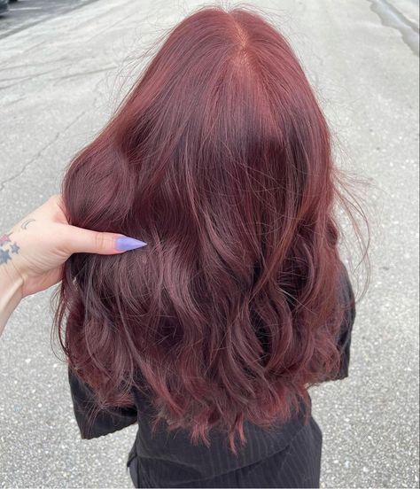 Dark Red Curtain Bangs, Light Wine Red Hair, Wine Red Brown Hair, Light Red Hair Dye, Red Hair On Dark Hair, Dark Red Wavy Hair, Very Dark Red Hair, Dark Red Dyed Hair, Dark Red Natural Hair