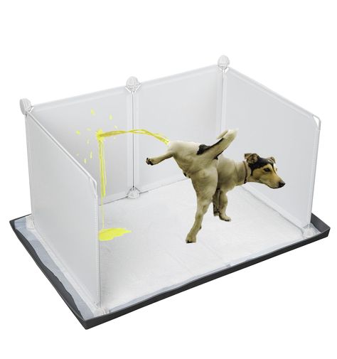 PRICES MAY VARY. [Perfect Protect for Wall and Floor] Doggie pee pad holder tray preventing urine from splashing onto the wall, floor,carpet and sofa.It also perfect for edge peeing dog puppy,elevated edges prevents pee from flowing on to the floor.It is great for house training. [Enclosure Splash Guard] The enclosure splash guard is composed of several plastic sheets and connectors you could DIY the splash guard according to your requirements. [Easy to Assemble] During assembly, Please check an Backyard For Dogs, Dog Play Room, Dog Potty Box, Porch Potty, Indoor Dog Potty, Dog Litter Box, Dog Pee Pads, Dog Accesories, Dog Washing Station