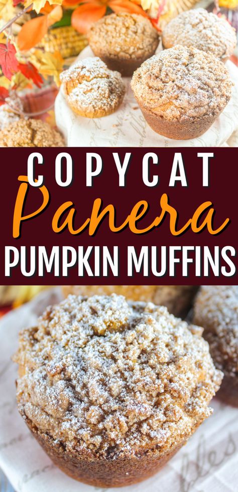 Panera Pumpkin Muffins, Panera Bread Pumpkin Muffins, Panera Pumpkin Muffin Recipe, Pumpkin Bread Starbucks, Pumpkin Bread Healthy, Copycat Panera, Bread Healthy, Pumpkin Muffin Recipes, Fresh Pumpkin