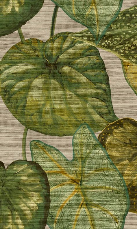 Sample Tahiti Bold Tropical Leaves Wallpaper in Beige/Green Classroom Art Display, Tropical Leaves Wallpaper, Tropical Scenery, Tropical Fabric Prints, Graphic Rug, Dry Erase Wall, Leaves Wallpaper, Wall Art Wallpaper, Tropical Foliage