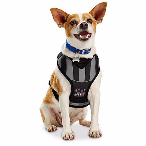 Pin for Later: These Star Wars Dog Toys Will Give Your Pup Something to Chew(bacca) On  Darth Vader Dog Harness ($28) Darth Vader Dog, Dark Vador, Fluffy Dogs, Dog Costumes, New Star Wars, Small Pet, Star Wars Darth, Star Wars Darth Vader, Chewbacca