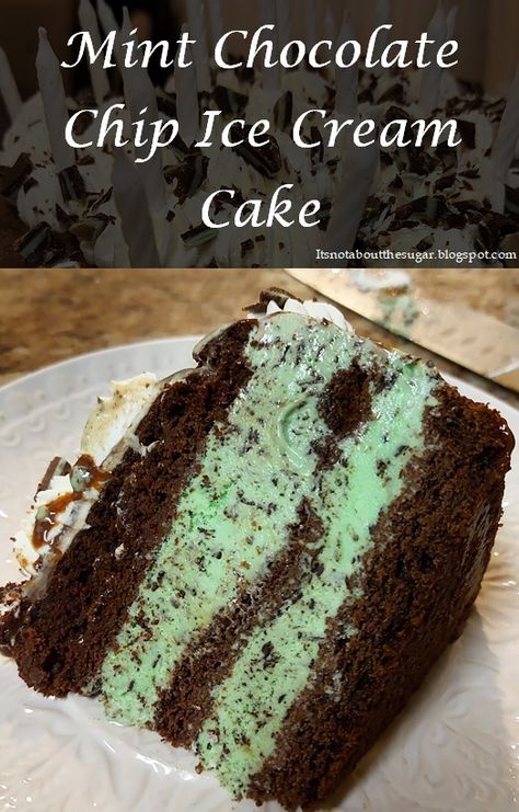 One slice of cake, laying on its side. The slice has three layers of chocolate cake and two layers of mint chocolate chip ice cream. On top of the cake is whipped cream and fudge. The cake is sitting on a white plate. Mint Ice Cream Cake, Chocolate Chip Ice Cream Cake, Mint Chocolate Chip Ice Cream Cake, Mint Desserts, Mint Chocolate Ice Cream, Teacher Cakes, Ice Cream Cakes, Ice Cream Cake Recipe, Mint Chocolate Chip Ice Cream