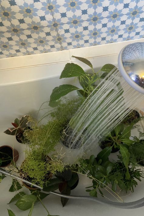 Water Plants Aesthetic, Plants Bathtub, Watering Plants Aesthetic, Plants In Shower, Tiles Aesthetic, Cute Photo Ideas, Watering Plants, Water Aesthetic, Balcony Plants