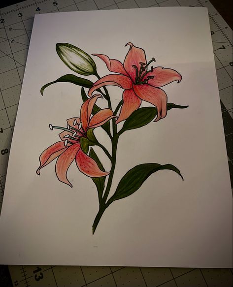 Flower 
Drawing 
Colors 
Lily’s flower Lily Flower Drawing Color Pencil, Lily Flower Drawing, Lily Painting, Flower Colors, Doodle Ideas, Lily Tattoo, Flower Sketches, Crayon Art, Botanical Drawings