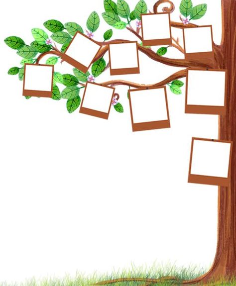 Family Tree Ideas For Kids School, Family Tree Template Printable Free, Tree Template Printable Free, Family Tree Design Ideas, Family Tree Ideas For Kids, Classroom Family Tree, Family Tree Examples, Family Chart, Family Tree Ideas