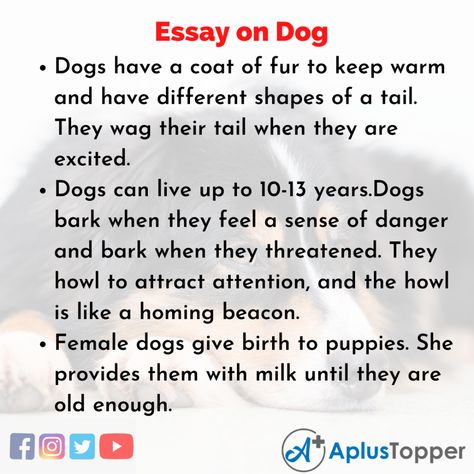 Dog Essay, Essay Writing Examples, English For Students, Writing Examples, Scientific Name, Short Essay, Essay Questions, Street Dogs, Dog Help