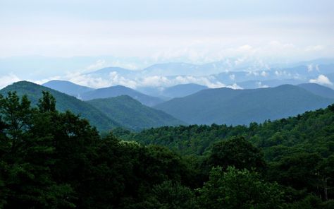 Roan Mountain Visit Maryland, Tennessee State Parks, Honeymoon Island, Black Dagger Brotherhood, Nc Mountains, North Carolina Mountains, Appalachian Mountains, Blue Ridge Parkway, Appalachian Trail