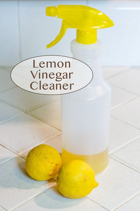 Lemon-Vinegar Cleaner is an easy to make, nice smelling, economical, non-toxic, all-natural, environmentally friendly, way to clean the house! And, it uses something that grows freely around my house: LEMONS! Vinegar And Water Cleaner, Lemon Vinegar Cleaner, Vinegar Cleaner Recipe, Lemon Vinegarette, Vinegar Cleaning Hacks, Vinegar Cleaning Spray, Diy Vinegar, Homemade Glass Cleaner, House Schedule