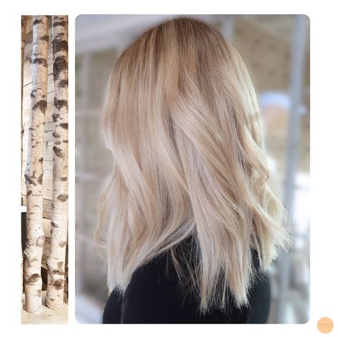 Scandi Blonde Hair, Swedish Blonde Hair, Aesthetic Balayage, Stockholm Aesthetic, Champagne Blonde Hair, Champagne Hair, Beige Blond, Neutral Blonde, Blond Balayage