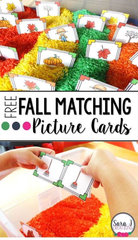 Fall sensory bin activities with free printable matching pictures card game. Sensory Bin Activities, Fall Sensory Bin, Fall Sensory, Toddler Printables, Thanksgiving Games For Kids, Preschool Fall, Matching Pictures, Fall Preschool Activities, Classroom Freebies