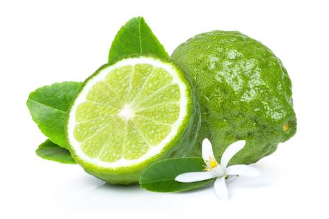 Fresh bergamot or kaffir lime fruit with flower and green leaf isolated on white background. Lime Fruit, Kaffir Lime Leaves, Kaffir Lime, Green Leaf, Grapefruit, Green Leaves, White Background, Lemon, Fruit