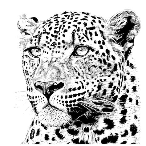 A black and white drawing of a leopard's... | Premium Vector #Freepik #vector #sketch #etching #drawing #cat-sketch Black White Animal Drawing, Black And White Tiger Drawing, Leopard Drawing Sketch, Leopard Face Drawing, Animal Eyes Drawing, Etching Drawing, Leopard Sketch, Leopard Drawing, Animal Eyes