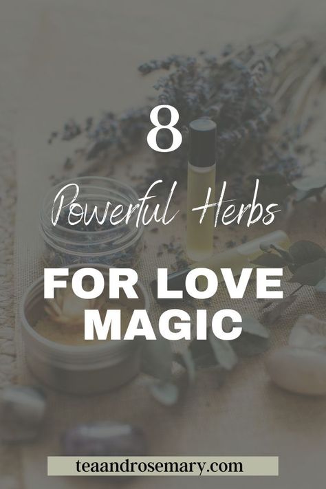 The best love magic herbs for witchcraft that are easy to source! Check out these 8 herbs for witchcraft that I use in love magic, plus the herb meanings for spells #herbsforwitchcraft #lovemagic Herbs For Love, Herbs For Witchcraft, Herb Meanings, Witchy Rituals, Magic Tea, Love Magic, Magic Herbs, Spiritual Stuff, Powerful Love Spells