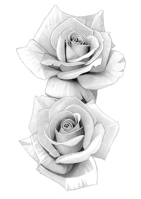 Rose Flower Sketch, Rose Flower Tattoos, Rose Drawing Tattoo, Realistic Rose, Rosen Tattoo, Flower Art Drawing, Roses Flower, Floral Tattoo Design, Rose Tattoo Design