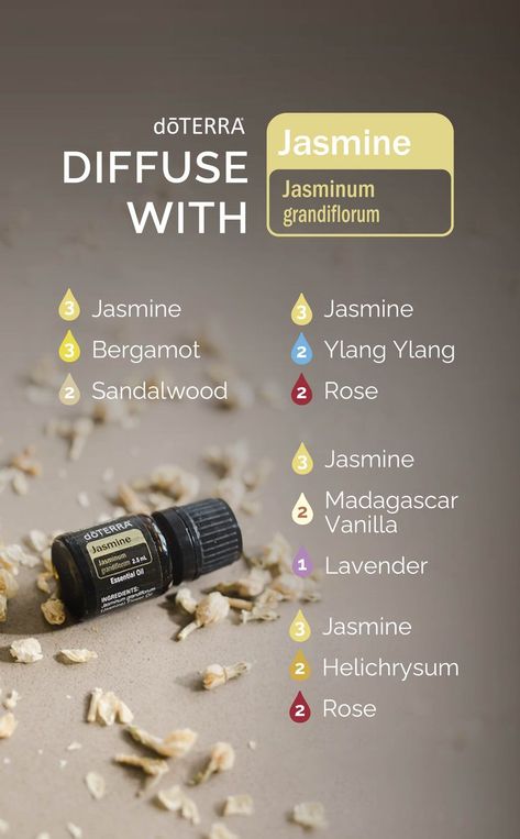 Jasmine Essential Oil Blends, Essential Oil Perfume Blends, Essential Oil Perfumes Recipes, Doterra Diffuser Blends, Essential Oil Diffuser Blends Recipes, What Are Essential Oils, Jasmine Essential Oil, Jasmine Oil, Essential Oils Health