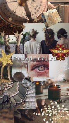 Ilvermorny Thunderbird, Thunderbird Ilvermorny, Thunderbird Aesthetic, American Wizarding School, Gryffindor Aesthetic, Harry Potter Hufflepuff, Harry Potter Aesthetic, Magic School, Wizarding World Of Harry Potter