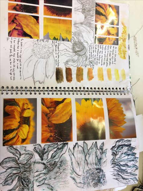 sunflowers Natural Forms Gcse Final Piece, Sketchbook Presentation, Kunstjournal Inspiration, Photography Sketchbook, Sketchbook Layout, Art Du Croquis, Textiles Sketchbook, Natural Form Art, Gcse Art Sketchbook