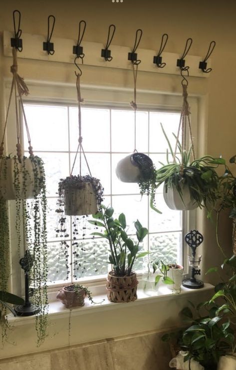 Koti Diy, Window Plants, Crazy Plant Lady, Plant Room, Plant Decor Indoor, House Plants Decor, Room With Plants, Plants Decor, Plant Ideas