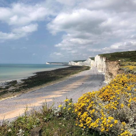 Birling Gap, Master Manifestor, Isle Of Wight, Throwback Thursday, A Year Ago, Safe Place, A Year, Wild Flowers, Gap