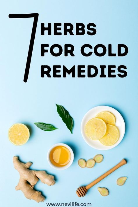 7 Useful Herbs for Cold Remedies. Here is the natural fast cold remedies tips for self. Best homemade cold remedies for kids and adults. Fast Cold Remedies, Cold Remedies For Kids, Homemade Cold Remedies, Cold Remedies Fast, Boost Your Immune System, Natural Cold Remedies, Cold Remedies, Natural Herbs, Healthy Kids