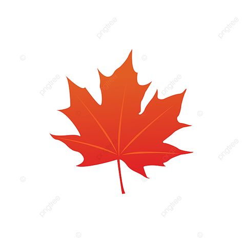 Maple Leaf Logo Design, Maple Leaf Vector, Maple Leaf Clipart, Country Silhouette, Maple Logo, Canadian Leaf, Canada Leaf, Maple Leaf Logo, Icons Template