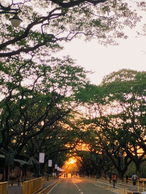 Up Sunken Garden, Sunken Garden Up Diliman, Up Diliman Aesthetic, Up Diliman, Magazine Moodboard, Sunken Garden, Travel Magazine, Cinematic Photography, 2024 Vision