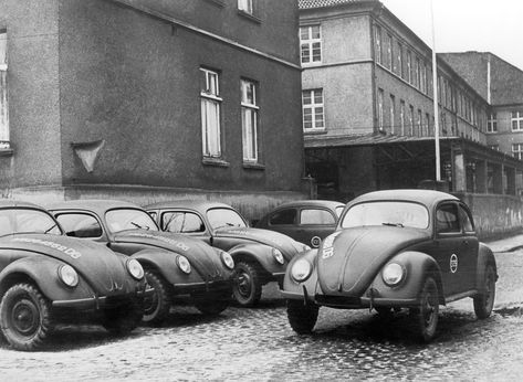 Building VW Beetles, the 'People's Car' of Germany Germany 1945, Volkswagen New Beetle, Porsche Sports Car, Ferdinand Porsche, Vw Vintage, New Beetle, Car Volkswagen, Vw Porsche, Harbin