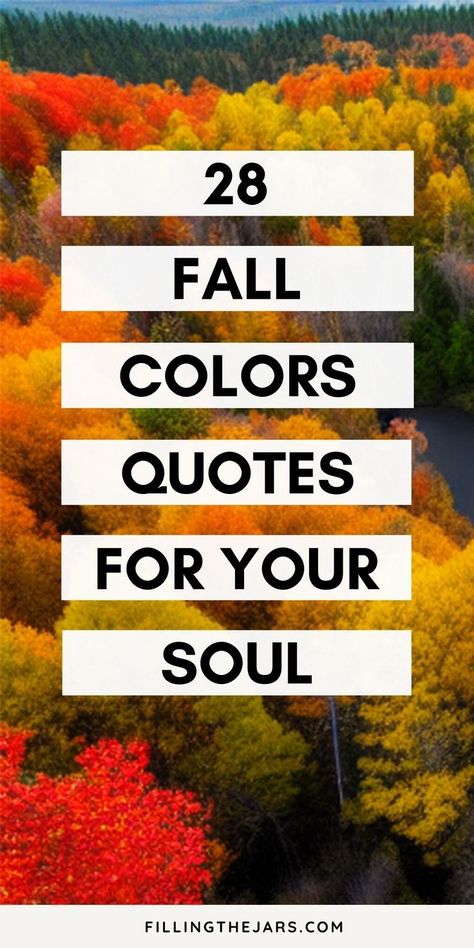 Autumn Is My Favorite Season, My Favorite Color Is Fall, My Favorite Color Is Autumn, Fall Is My Favorite Season, Fall Beauty Quotes, Fall Colors Quotes, Happy Autumn Quotes, Fall Color Quotes, Sweater Weather Quotes