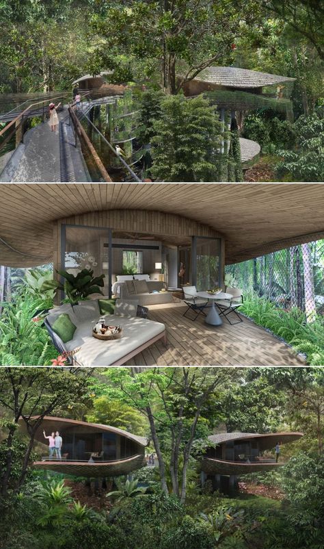 In 2023, Mandai area in Singapore will be welcoming a new eco resort that will offer visitors a chance to get closer to nature while also promoting sustainable building and wildlife preservation. It is being developed under the Mandai rejuvenation project, which has plans to redevelop the existing Singapore Zoo, River Safari and Night Safari along with addition of a new Bird Park, a Rainforest Park, a nature-themed indoor attraction and accommodation options. Beautiful Tree Houses, Tree House Diy, Cool Tree Houses, Tree House Designs, Tree Species, Resort Design, Green Architecture, Eco House, Forest House