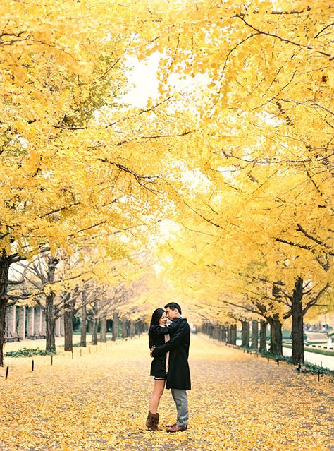 Ricky and Debbie's Romantic Engagement Shoot in Japan - The Wedding Scoop: Directory, Reviews and Blog for Singapore Weddings Japan Autumn Prewedding, Autumn Pre Wedding Photoshoot, Fall Prenup Shoot, Japan Prewedding, Prenup Photos, Prenup Photos Ideas, Prenup Shoot, Korea Photoshoot, Japan Autumn