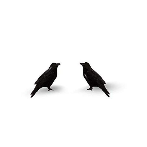 Raven Earrings - Bird Earrings - Crow Earrings - Raven - ... https://smile.amazon.com/dp/B07GLYYMKN/ref=cm_sw_r_pi_dp_x_eENMCbQQ7HF1P Crow Earrings, Raven Earrings, Raven Costume, Crow Jewelry, Earrings Bird, Halloween Clothes, Crow Bird, Crows Ravens, Digital Printer