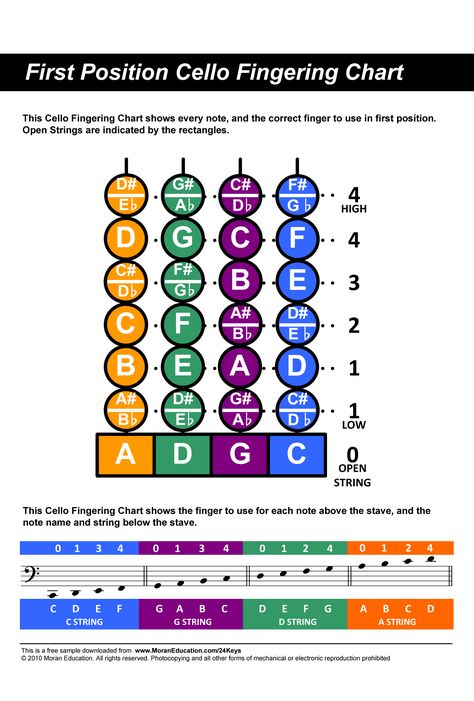 Cello Notes Chart - Bing Images Cello Fingerboard Chart, Cello For Beginners, Learning Cello, Hello Cello, Cello Lessons, Electric Cello, Violin Practice, Semi Acoustic Guitar, Cello Sheet Music