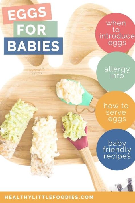 Eggs For 6 Month Old Baby, Eggs For Baby 6 Months, Egg Puree For Baby, Meat For Babies, Introducing Baby Food, Baby Food Allergies, Baby Food Combinations, Scrambled Eggs With Spinach, Soft Egg