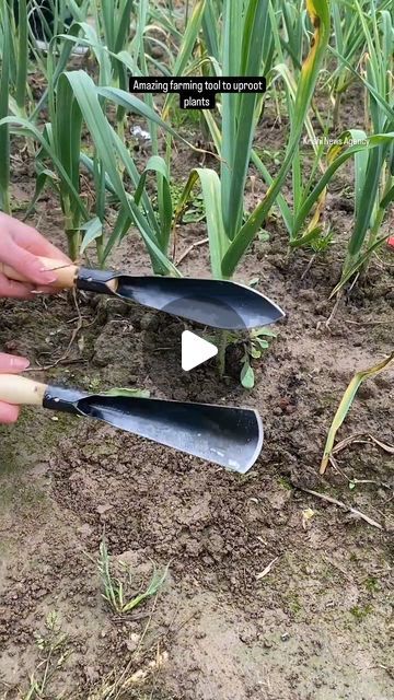 Krishi News Agency on Instagram: "Amazing farming tool to uproot plants  . . #krishinewsagency  . . #farming #agriculture #tool #equipment #hacks #ideas #viral #new #instagram" Farming Ideas Agriculture, Agriculture Design, Agricultural Tools, Plastic Welding, Farm Tools, Agriculture Farming, Low Tech, News Agency, April 13