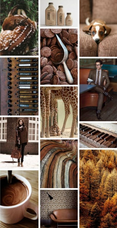 Moodboard-nature-inspired-giraffe-brown Moodboard-nature-inspired-giraffe-brown Color Collage, Mood Board Inspiration, Mood Board Design, Mood Board Fashion, A Collage, Warm Brown, Color Stories, Colour Schemes, Color Pallets