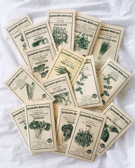 Asian Veggies, Asian Plants, Instagram Asian, Gold Sun, Roof Deck, Diy Garden Projects, Seed Packets, Garden Bed, Raised Garden Beds