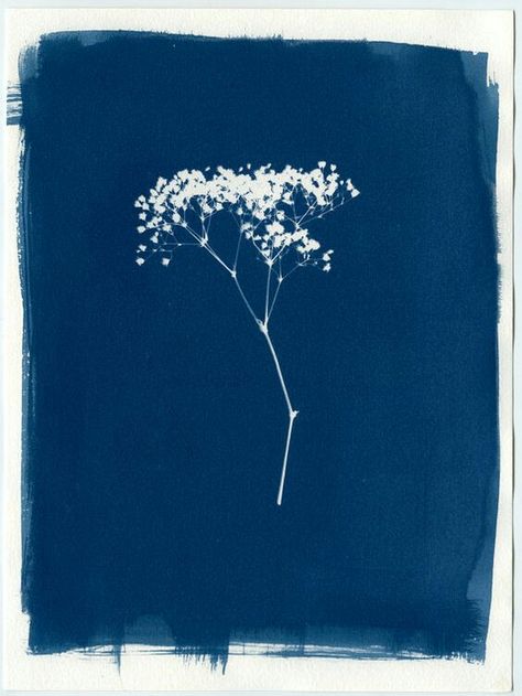 Sun Prints, Poster Baby, Alternative Photography, Poster Decor, Blue Poster, 수채화 그림, Art Et Illustration, Baby's Breath, Blue Aesthetic