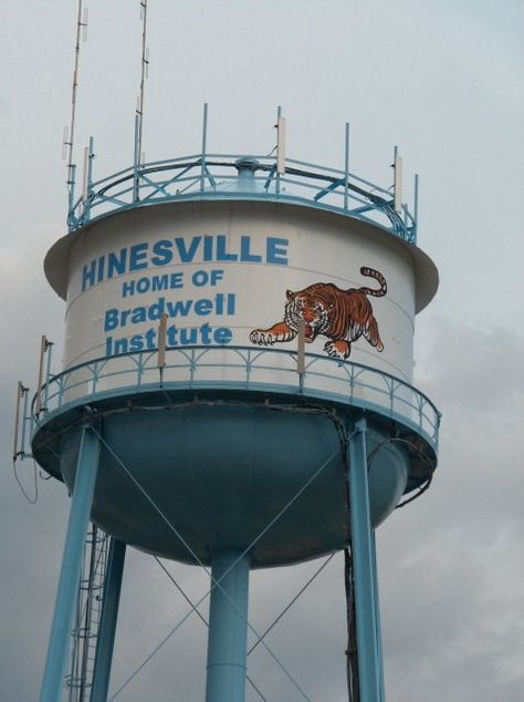 Hinesville Georgia, Side Tattoos Women, Coastal Georgia, Grain Elevators, Army Brat, Water Towers, Tattoos Women, Georgia On My Mind, Side Tattoos