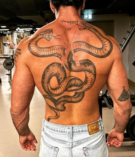 Two Snakes Intertwined, Snakes Intertwined, Middle Of Back Tattoo, Adrian Volkov, Symmetrical Tattoos, Deception Trilogy, Brother And Sister Tattoo Ideas, Dragon Tattoo Back, Two Snakes