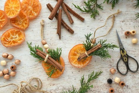 Dried Citrus Ornaments for Christmas Trees: Your DIY Guide Dried Citrus Ornaments Diy, Citrus Ornament Diy, Dehydrated Fruit Ornaments, Dried Orange Ornaments Tree Decorations, Dried Fruit Christmas Tree, Citrus Ornaments, Natural Christmas Ornaments, Dried Citrus, Orange Ornaments