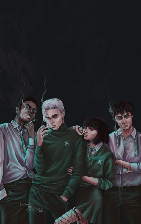 Hermione Malfoy, Draco Malfoy Fanart, Harry Potter Illustrations, Draco Malfoy Aesthetic, Slytherin Harry Potter, Hxh Characters, Draco Harry Potter, Harry Potter Draco Malfoy, Harry Potter Ships