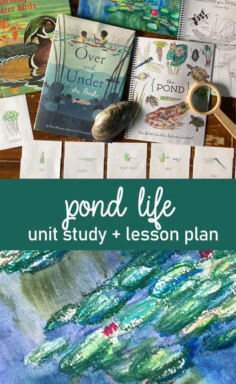 pond life unit study Pond Learning Activities, Pond Stem Activities, Pond Unit Study, Pond Habitat Projects For Kids, Garden Unit Study, Pond Activities, Frog Unit Study, Montessori Spring, Pond Life Theme